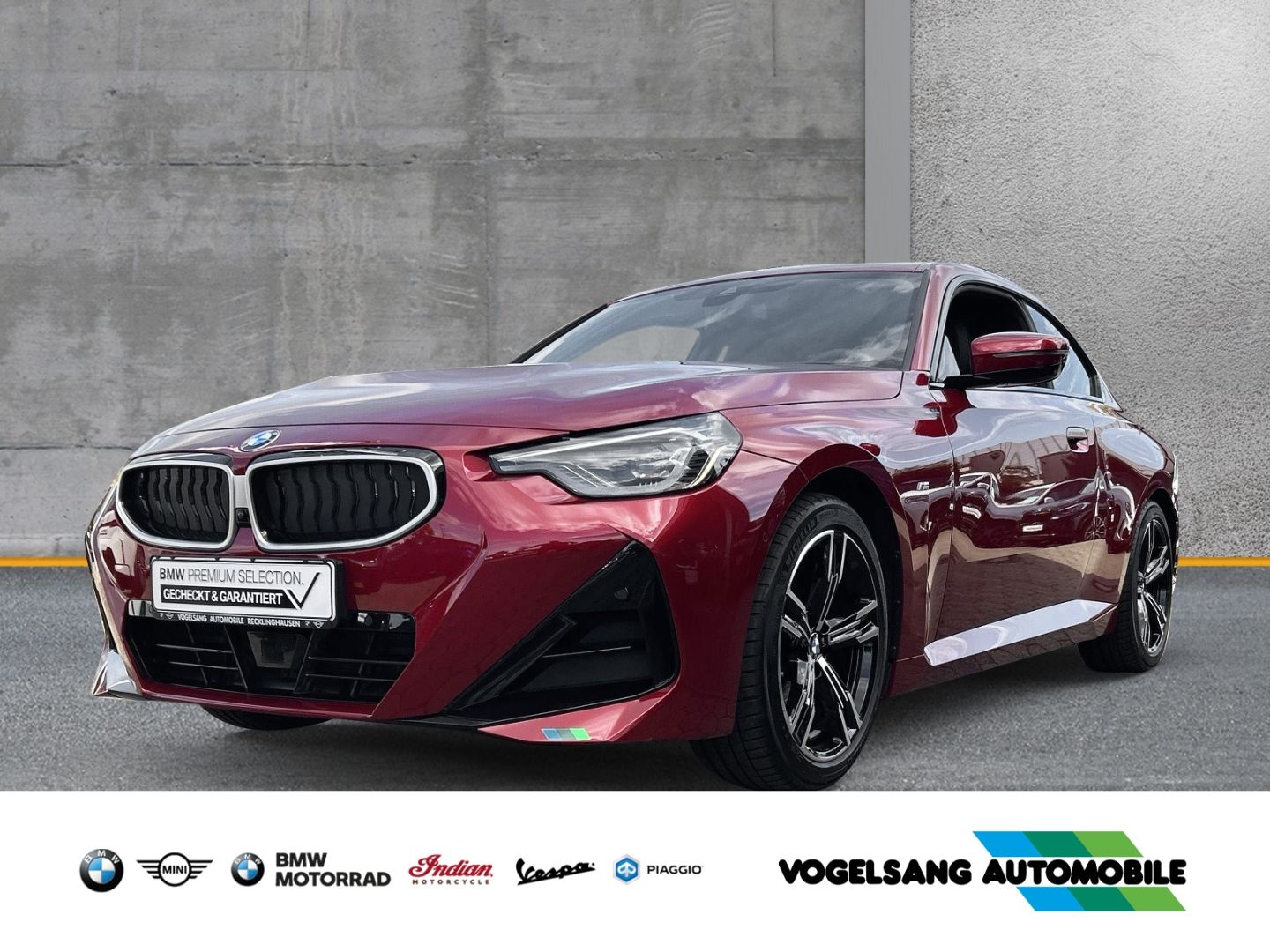 BMW 220 iA Coupe M Sport AHK Rückfahrk. DrivingAssis foto 1