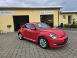 Volkswagen Beetle Design*Xenon*Sitzheizung*8-fach Bereift - Volkswagen Beetle: Rot