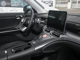 Smart #1 PRO+ Navigation+LED-Scheinwerfer+360° Kamera - Smart: Geländewagen