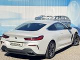 BMW M850i xDrive LASER DaPro Sitzklima LEA ab 749bru - BMW Jahreswagen