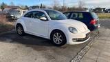 Volkswagen Beetle 1.2 TSI Design,1.Hand,8-fach bereit Alu - Volkswagen Beetle mit Benzin-Antrieb: 1.8
