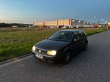 Volkswagen VW Golf 4 1.9 TDI 4motion ASZ (no ARL) im ... - Volkswagen Golf aus 2001: TDI