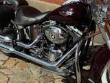Harley-Davidson Softail Deluxe FLSTN - Offers