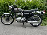 Kawasaki W 650 - Angebote