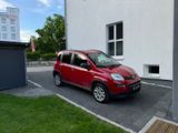 Fiat Panda Cross 4X4  1,3M-JET Klima  EXPORT - Fiat Panda mit Diesel-Antrieb