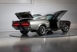 Ford Mustang Eleanor GT500E - Ford Mustang: Eleanor