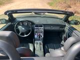 Mercedes-Benz SLK 230 KOMPRESSOR - - Mercedes-Benz SLK 230: Cabrio