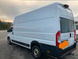 Fiat Ducato / Camper - Fiat aus 2021