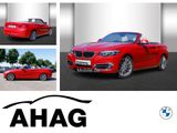 BMW 218i Cabrio Luxury Line Aut. Navi Business PDC - : Cabrio, Luxury