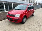 Fiat Panda 1.1 8V - Fiat Panda in Dortmund