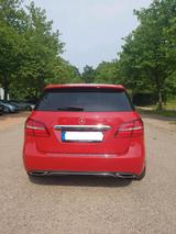 Mercedes-Benz B 250 Klasse mit 4 Matic Allrad - Mercedes-Benz B 250 von privat