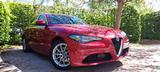 Alfa Romeo Giulia 2.2 Diesel 16V 140 kW AT8 Q4 Super Super - Alfa Romeo: 14