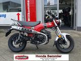 Honda DAX 125 ST125 AKTIONSPREIS - 0 KM - Offers