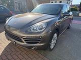 Porsche Cayenne Diesel - - Porsche: Beige, Leder