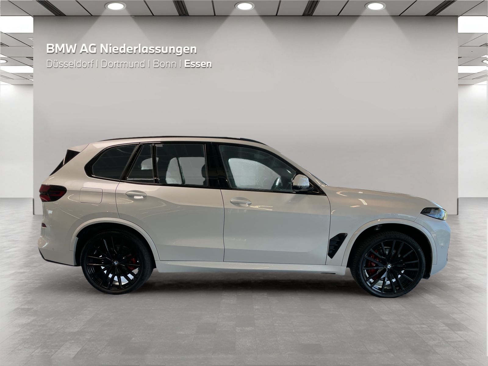 BMW X5 xDrive40d M Sport AHK Driv.Assist.Prof LED foto 4