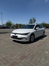 Volkswagen Golf 1.5 eTSI 150 PS DSG Life Business-Paket   - Volkswagen Golf: 150 Ps