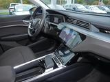 Audi e-tron 55 quattro AHK Matrix R-Kamera ACC Navi - Audi e-tron in Frankfurt (Main)