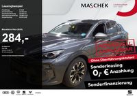 Cupra Terramar - Vorschau Bild 1