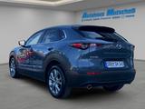 Mazda CX-30 Centre-Line 2WD 2.5 e-SKYACTIV-G 140 HUD N - Mazda CX-30 mit Benzin-Antrieb: Centre Line
