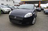 Fiat Punto 1.2 8V Dynamic - Fiat Punto Dynamic mit Benzin-Antrieb
