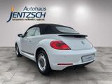 Volkswagen Beetle Cabriolet Cup Xenon/Klimaaut./Sitzh. - Volkswagen Beetle: Weiß
