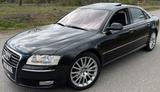 Audi A8 d3  4.2 TDI - Audi A8 aus 2009