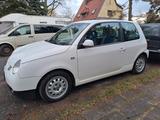 Volkswagen Lupo 3L TDI Standard Allwetterreifen Tüv 02.28  - weiße Volkswagen Lupo