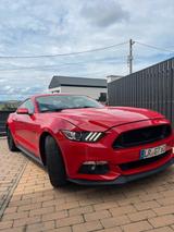 Ford Mustang 5.0 Ti-VCT V8 GT Performance Pack 500 ps - Ford Mustang: Performance