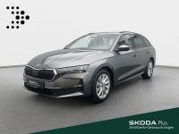 Skoda Octavia - Vorschau Bild 1