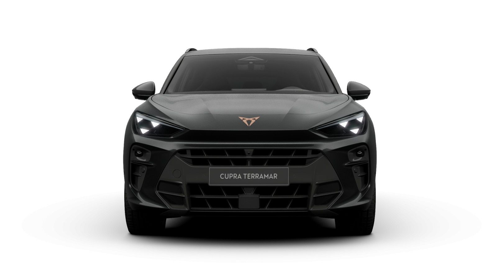 Cupra Terramar - Bild 2