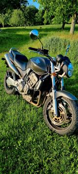 Honda Hornet cb900f  - HONDA CB 900 HORNET