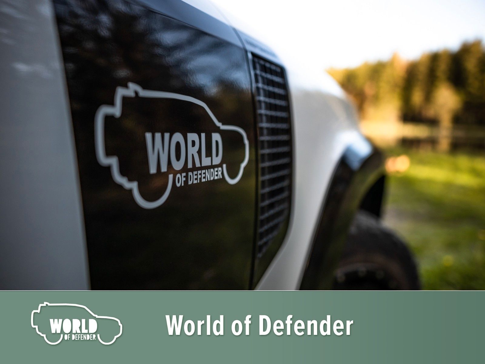 Fahrzeugabbildung Land Rover Defender 110 D250 X-Dynamic SE Rough Edition