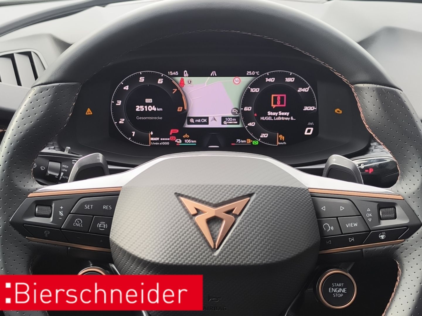 Cupra Terramar - Bild 14