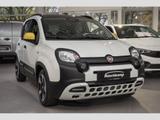 Fiat Panda Pandina Cross 1.0 PDC Klima Temp. DAB - Fiat Panda Gebrauchtwagen in Dortmund