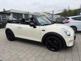 MINI Cooper Cabrio,Burmester,Navi,Teilleder,Automatik - MINI Cooper Cabrio Gebrauchtwagen