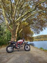 Ducati Scrambler Desert Sled - DUCATI SCRAMBLER DESERT SLED