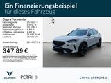 Cupra Formentor VZ 1.4 e-HYBRID*NAVI*360*SHZ*Assist* - Cupra Formentor in Wiesbaden