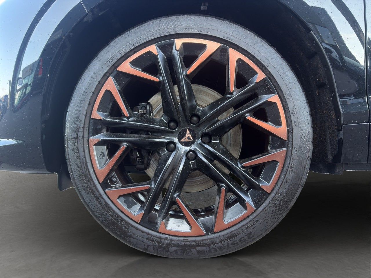 Cupra Terramar - Bild 4