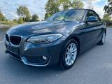 BMW 218d Cabrio*NAVI*LEDER*PDC*SHZ*TEMPO - BMW 218 in Duisburg