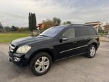 Mercedes-Benz Mercedes-benz GL 420 CDI cat Chrome 7 - Mercedes-Benz GL 420 Gebrauchtwagen