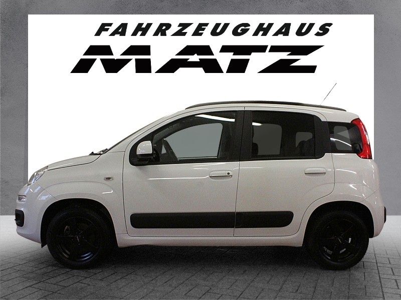 Fahrzeugabbildung Fiat Panda  Lounge 1.2
