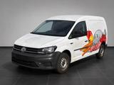Volkswagen Caddy  Maxi 2.0 TDI BMT PDC Klima Kühlkastenwage - VW Caddy Gebrauchtwagen in Münster