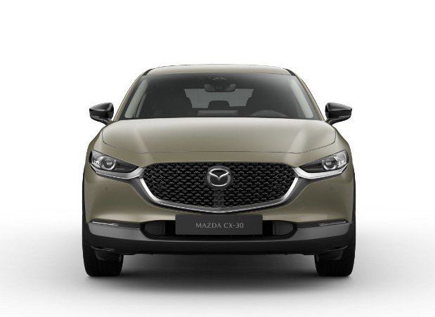 Fahrzeugabbildung Mazda CX-30 2.5i 140PS A/T Homura