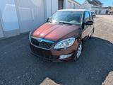 Skoda Fabia 1.2l 51kW Family Family - Skoda Fabia: Standheizung