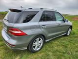 Mercedes-Benz ML 350 BlueTEC 4MATIC - - Mercedes-Benz ML 350 in Frankfurt (Main)