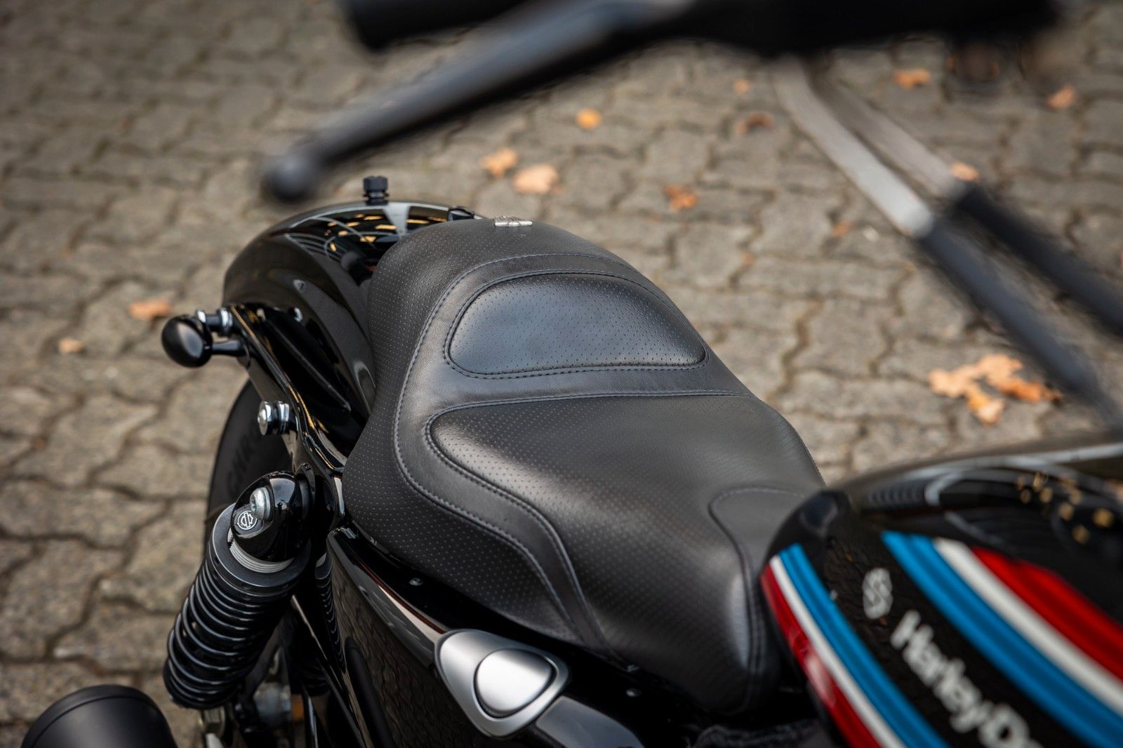 Fahrzeugabbildung Harley-Davidson XL883N - Iron 883 Auspuff - Kesstech - Ape