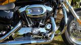 Harley-Davidson Sportster XL 1200 C - Harley-Davidson Motorräder in Lübeck