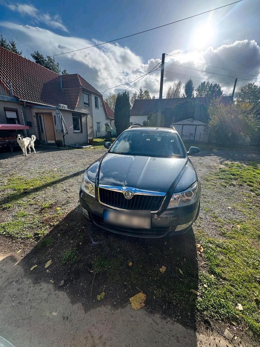Skoda Octavia 2009 — photo 8