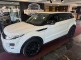 Land Rover Range Rover Evoque Dynamic PANORAMA/LED/125TKM!! - Land Rover in Bochum