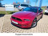 Ford Mustang V6 3,7L Cabrio Xenon Premium Automatik - Ford Mustang mit Benzin-Antrieb: Cabrio